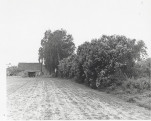 Karta cmentarza, skan nr 11