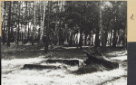 Karta cmentarza, skan nr 5