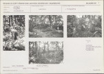Karta cmentarza, skan nr 5