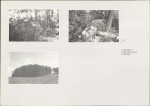 Karta cmentarza, skan nr 6