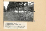 Karta cmentarza, skan nr 7