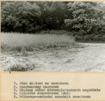 Karta cmentarza, skan nr 8
