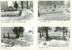 Karta cmentarza, skan nr 6