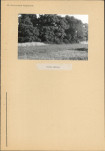 KC - Karta cmentarza, skan nr 5
