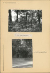KC - Karta cmentarza, skan nr 6