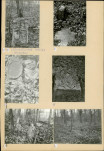 Karta cmentarza, skan nr 6