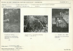 KC - Karta cmentarza, skan nr 5