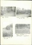 KC - Karta cmentarza, skan nr 5