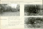 KC - Karta cmentarza, skan nr 6