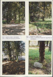 Karta cmentarza, skan nr 5