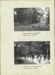 Karta cmentarza, skan nr 6