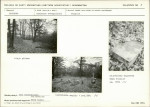 Karta cmentarza, skan nr 5