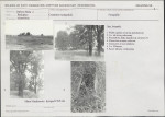 Karta cmentarza, skan nr 5