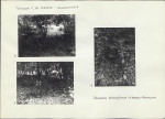 KC - Karta cmentarza, skan nr 7