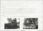 Karta cmentarza, skan nr 5