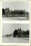 Karta cmentarza, skan nr 4
