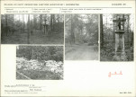 KC - Karta cmentarza, skan nr 5