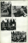 KC - Karta cmentarza, skan nr 11