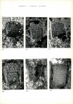 Karta cmentarza, skan nr 61