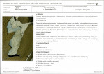 KB - Karta biała, skan nr 7