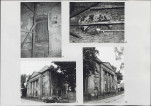 Karta biała, skan nr 10