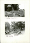 Karta cmentarza, skan nr 6