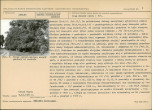 KB - Karta biała, skan nr 7