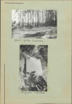 KC - Karta cmentarza, skan nr 4