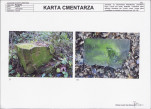 KC - Karta cmentarza, skan nr 7