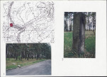 Karta cmentarza, skan nr 4