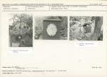 Karta cmentarza, skan nr 5