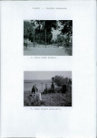 Karta cmentarza, skan nr 6