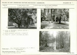 Karta biała, skan nr 15