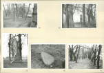 Karta biała, skan nr 32