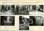 Karta biała, skan nr 11