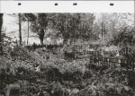 Karta cmentarza, skan nr 10
