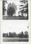 Karta cmentarza, skan nr 7