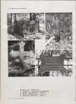 Karta cmentarza, skan nr 5