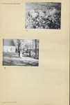 Karta cmentarza, skan nr 8