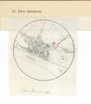 Karta cmentarza, skan nr 4