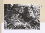 Karta cmentarza, skan nr 5