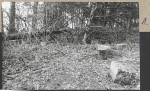 Karta cmentarza, skan nr 5