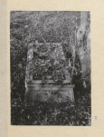Karta cmentarza, skan nr 6