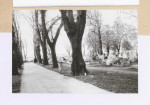 Karta cmentarza, skan nr 6
