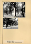 Karta cmentarza, skan nr 5