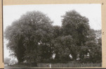 Karta cmentarza, skan nr 9