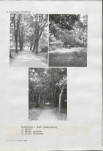 Karta cmentarza, skan nr 5