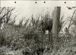 KC - Karta cmentarza, skan nr 8