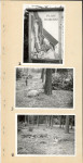 Karta cmentarza, skan nr 8