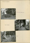 KC - Karta cmentarza, skan nr 4